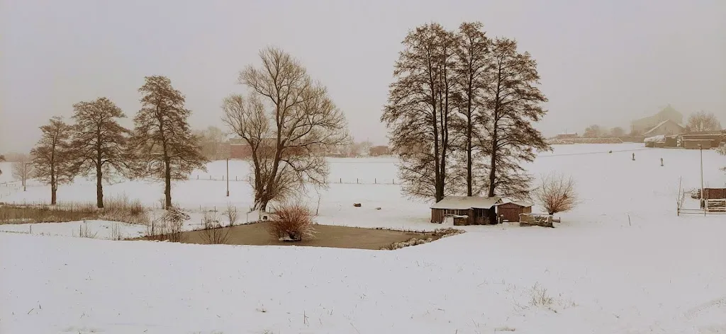 Gaststätte Grüner Baum_Zeulenroda-Triebes_slider_image_2