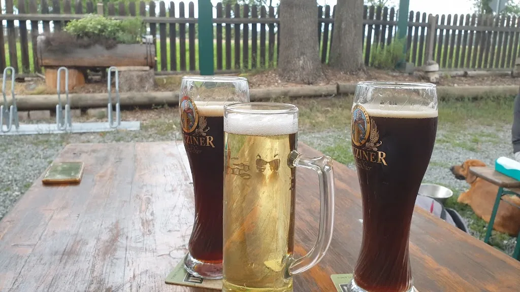 Menu_Landhotel & Gasthaus Zum Forsthaus Leitlitz_Zeulenroda-Triebes_image_4