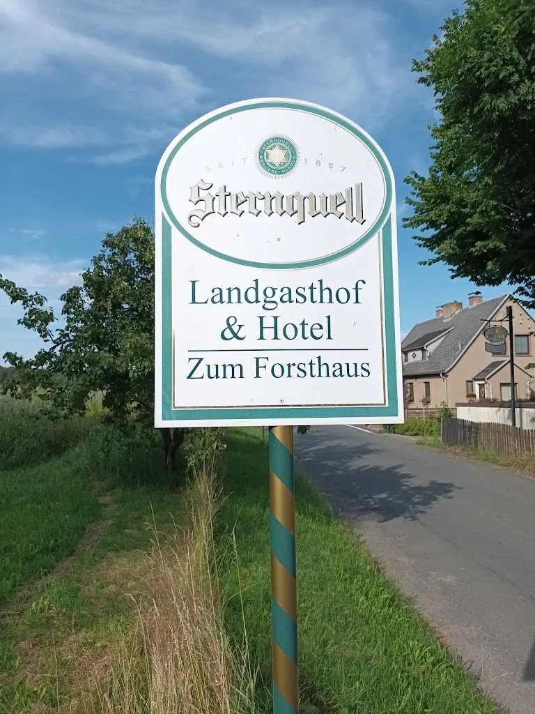 Erdna Jedermann_Landhotel & Gasthaus Zum Forsthaus Leitlitz_Zeulenroda-Triebes_review
