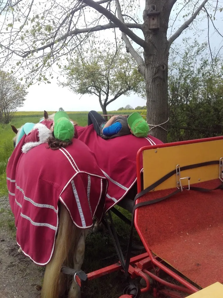 Gasthof Kranich - Gabi Laubner_Zeulenroda-Triebes_slider_image_2