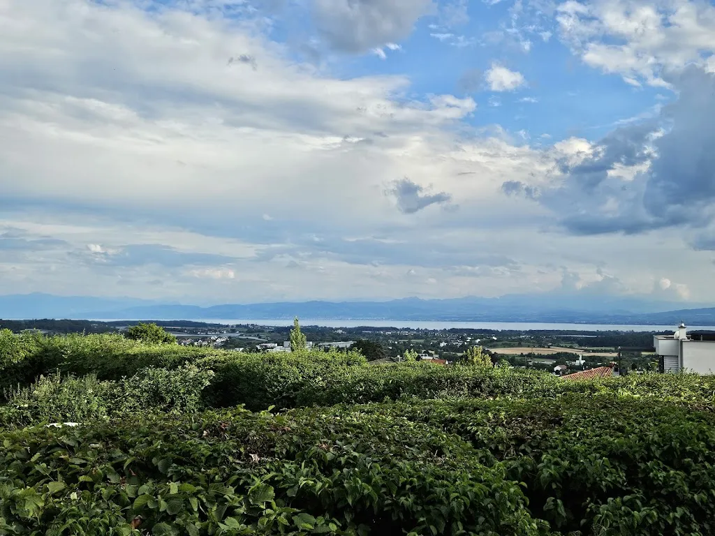Restaurant Wirtshaus am Gehrenberg_Markdorf_slider_image_3