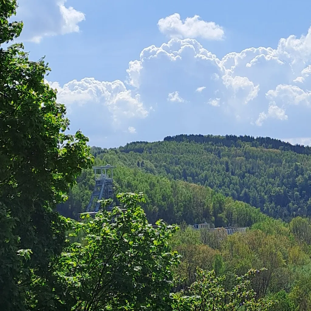Elke Radtke_Forsthaus Prinzenhöhle_Hartenstein_review