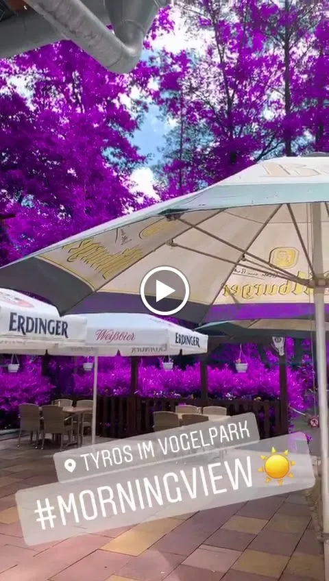 Restaurant Tyros im Vogelpark_Haßloch_slider_image_2