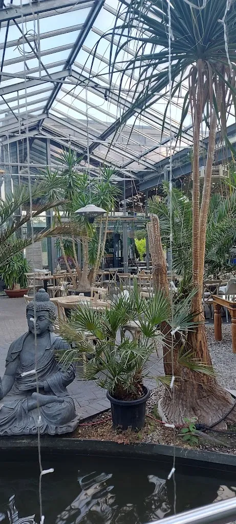 Anja Stoltze_Palmencafé Hasloh_Hasloh_review