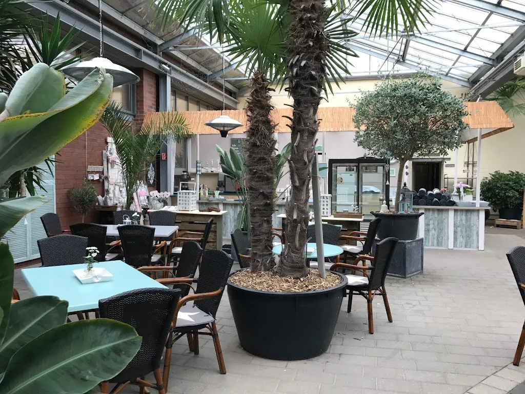 Palmencafé Hasloh_Hasloh_slider_image_1