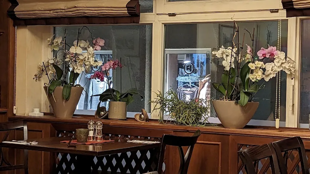 Restaurant Delphi restaurant in Donau