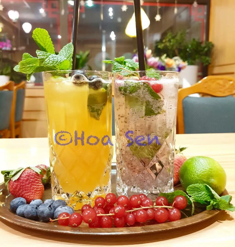 Hoa Sen Restaurant_Donau_slider_image_3