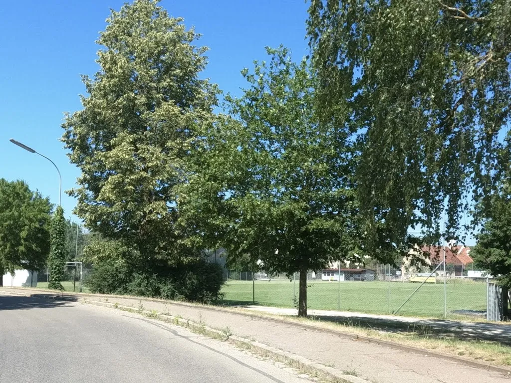 TSV Haunsheim_Haunsheim_slider_image_3