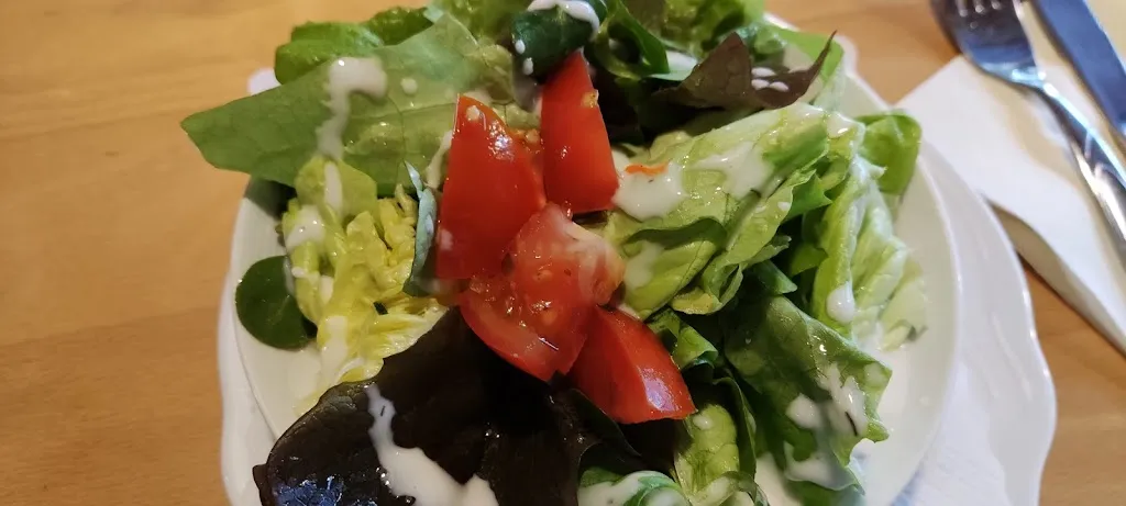 Menu_Gasthaus zum Goldenen Stern, Vogel Günther_Hammelburg_immagine_2