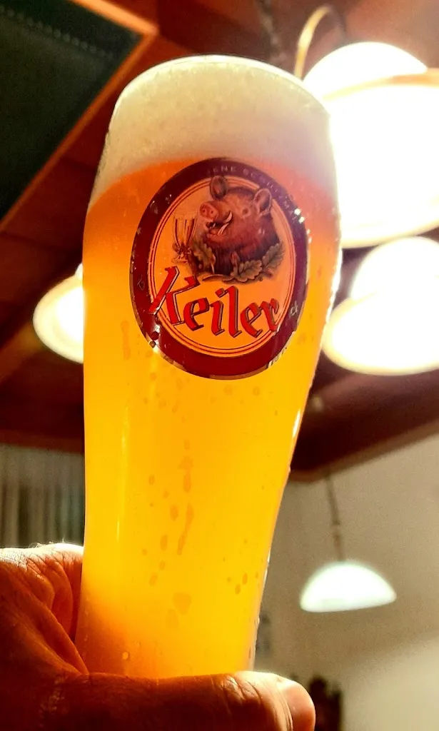 Menu_Gasthaus zum Goldenen Stern, Vogel Günther_Hammelburg_immagine_8