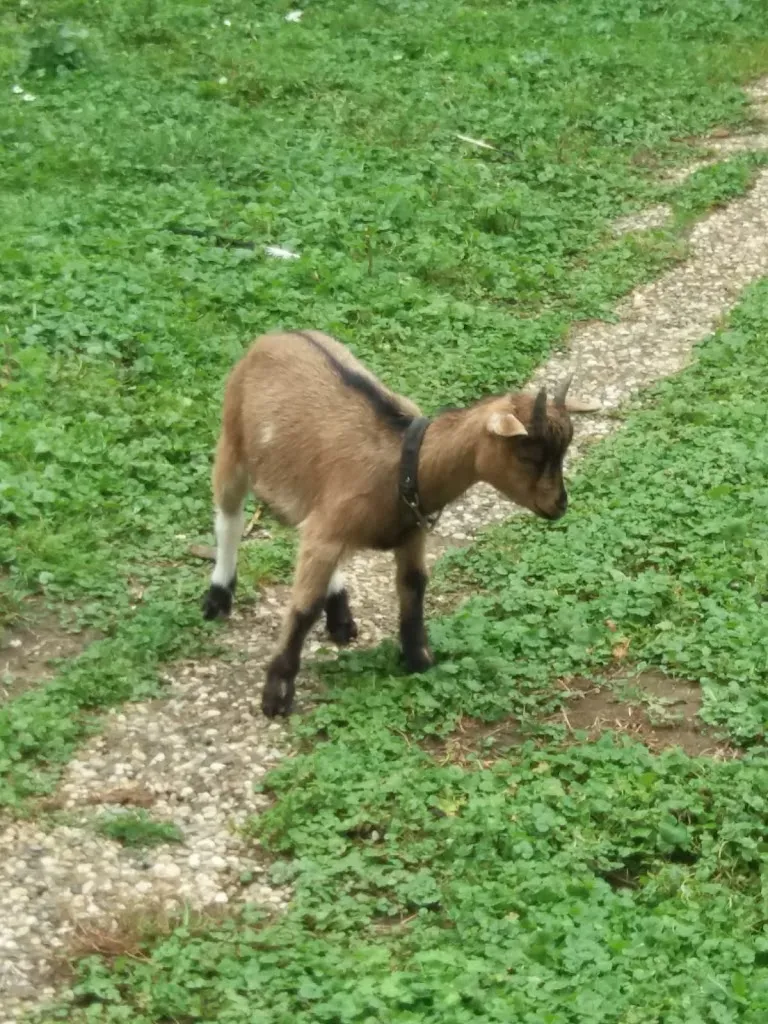 Freizeit Bikerin_Zur Radlerrast_Eggenfelden_avis