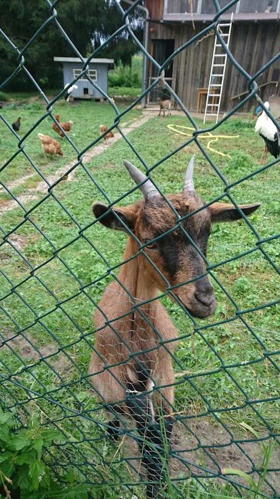 Zur Radlerrast_Eggenfelden_slider_image_2