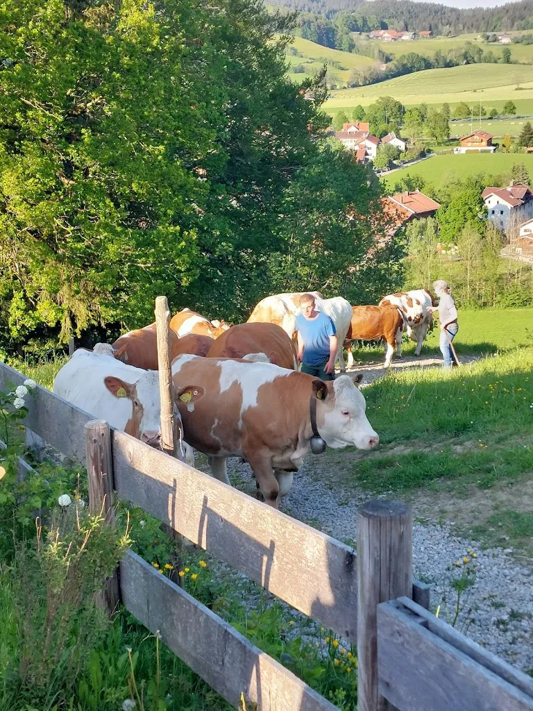 Dirk Wiese_Huabaoim Huberalm Café Almwirtschaft_Hausham_review