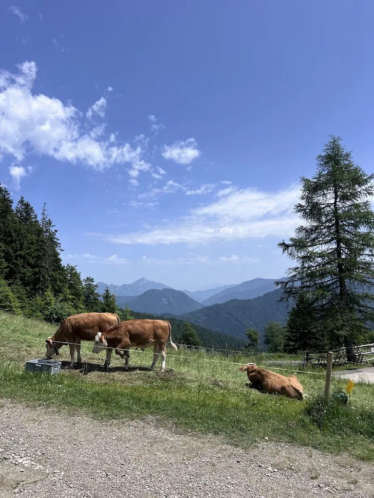 Martina Dzhulieva_Gindelalm 1_Hausham_review