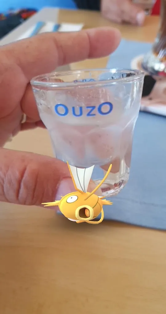 Menü_Griechisches Restaurant Akropolis_Gunzenhausen_Bild_5