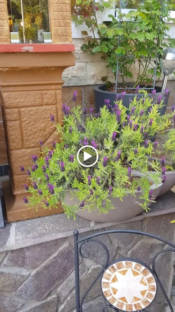 Korfu Restaurant_Haßfurt_slider_image_2