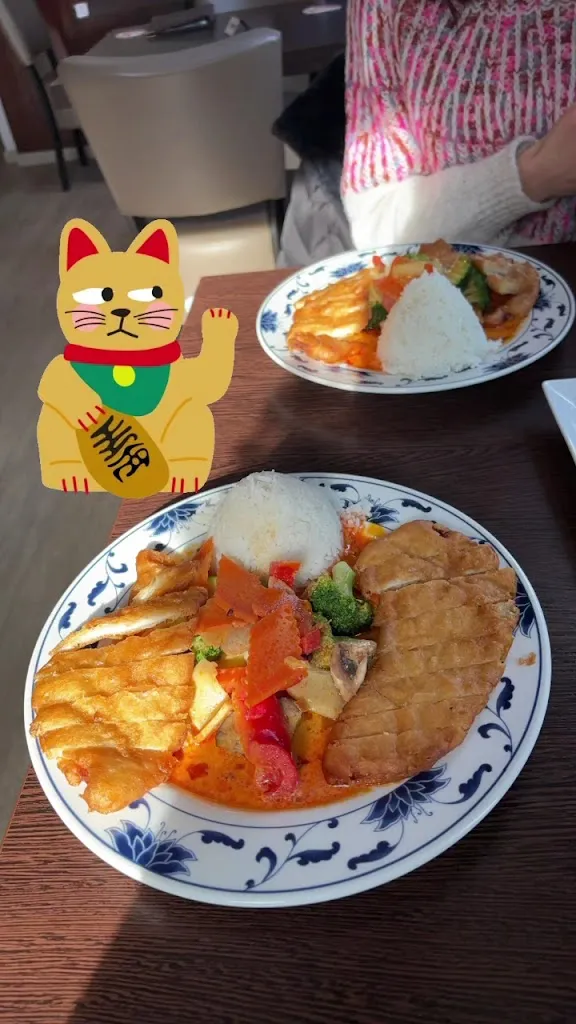 sheslanie_x3_Hoa Sen - Asiatische Küche_Albstadt_review