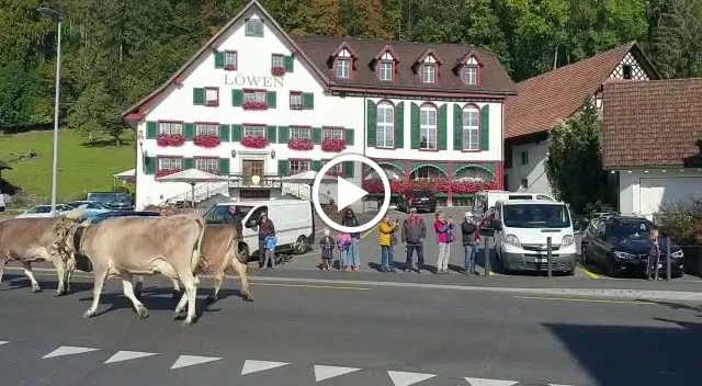 Restaurant Löwen_Albis_slider_image_2
