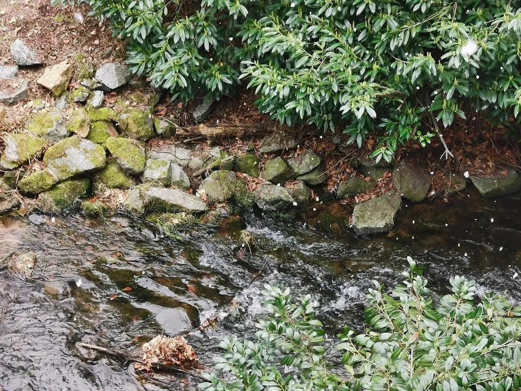 Derek Goh_Hotel Villa Marburg Im Park_Heigenbrücken_review