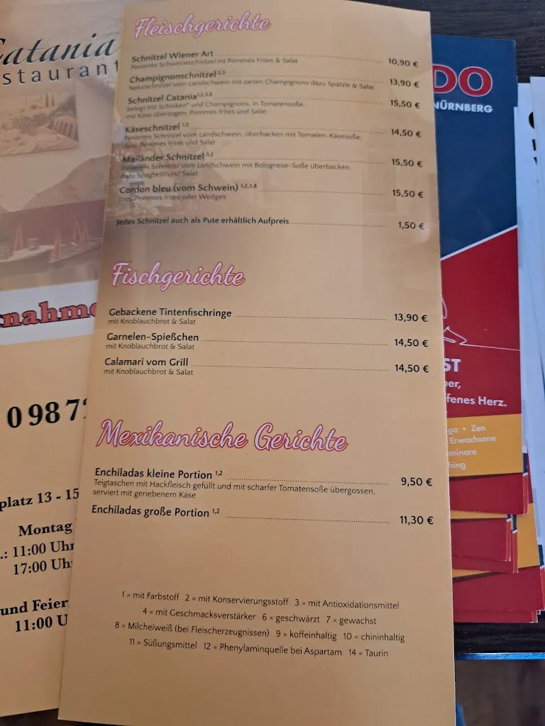 Menu_Pizzeria Catania_Heilsbronn_immagine_1