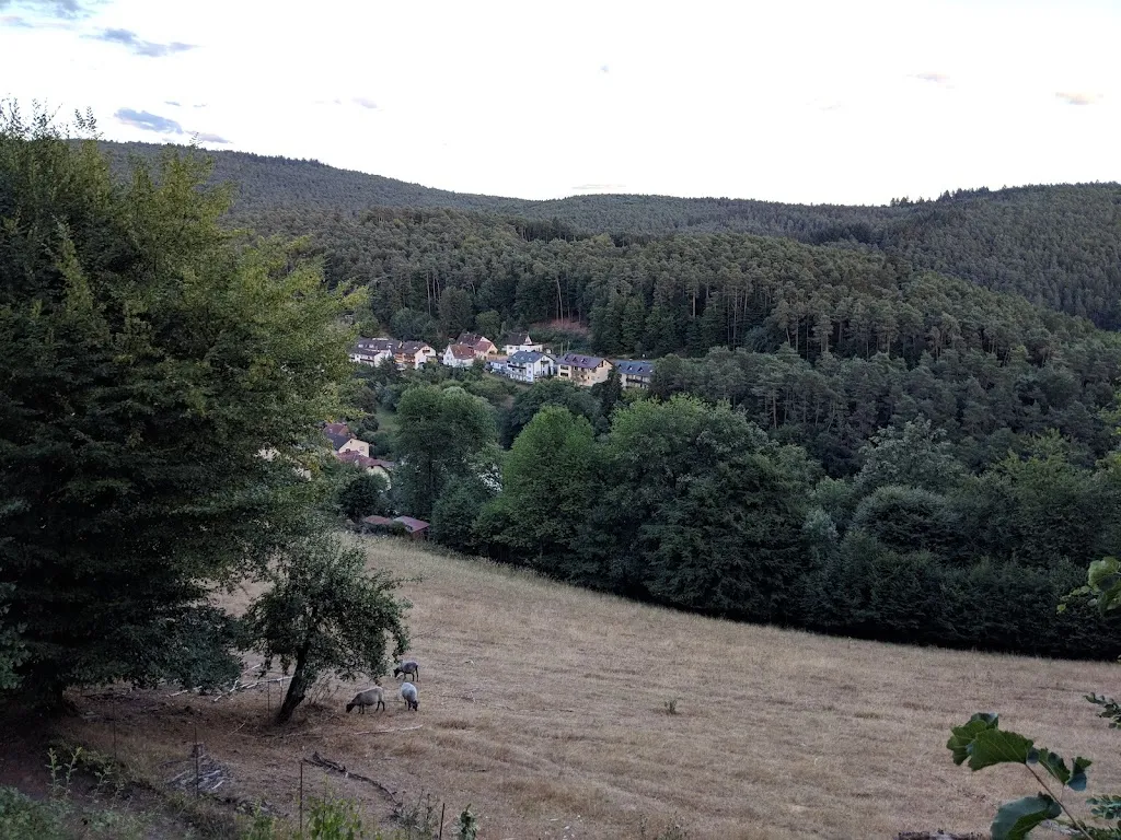 Saeed Al Saeed_Panoramahotel Heimbuchenthal_Heimbuchenthal_review