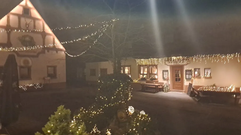 Chris Des Forges_Hotel Landgasthof Oberschnorrhof_Dammbach_review