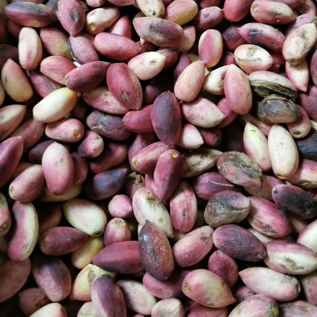 Menu_As Urfa Harburg_Hamburg_image_9