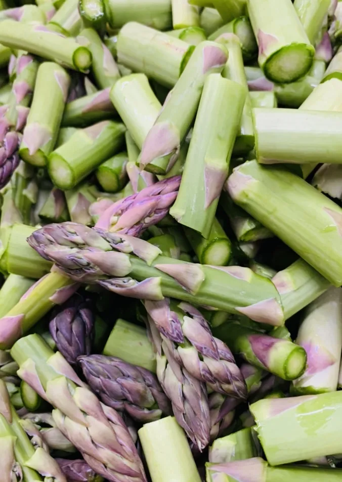 Menü_Restaurant Scharf_Hamburg_Bild_9