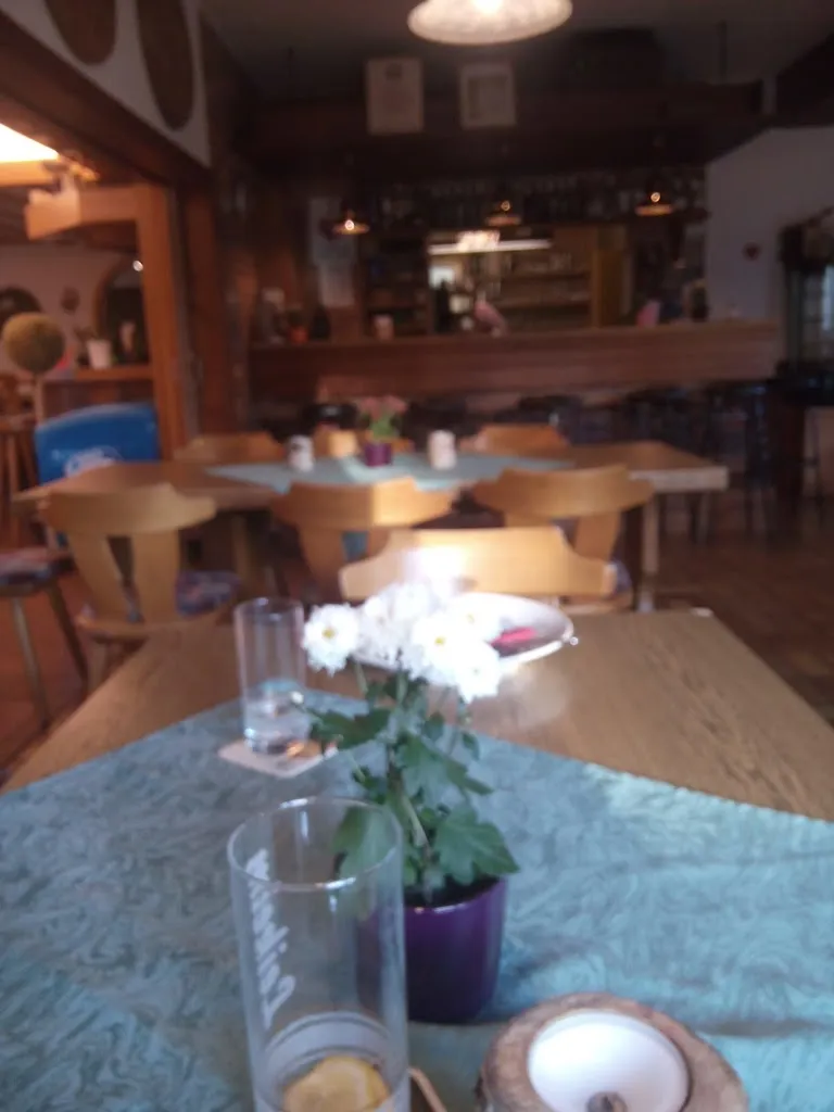 Menu_Gaststätte Birkenhof Helmbrechts - Wüstenselbitz_Helmbrechts_image_3