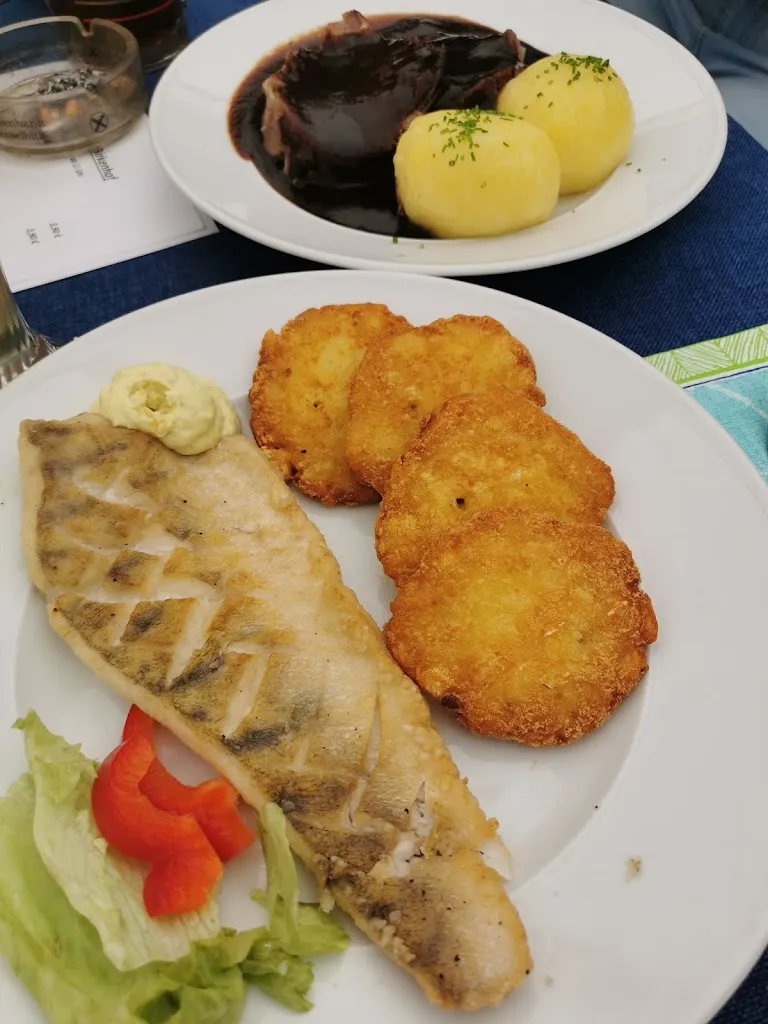 Menu_Gaststätte Birkenhof Helmbrechts - Wüstenselbitz_Helmbrechts_image_5