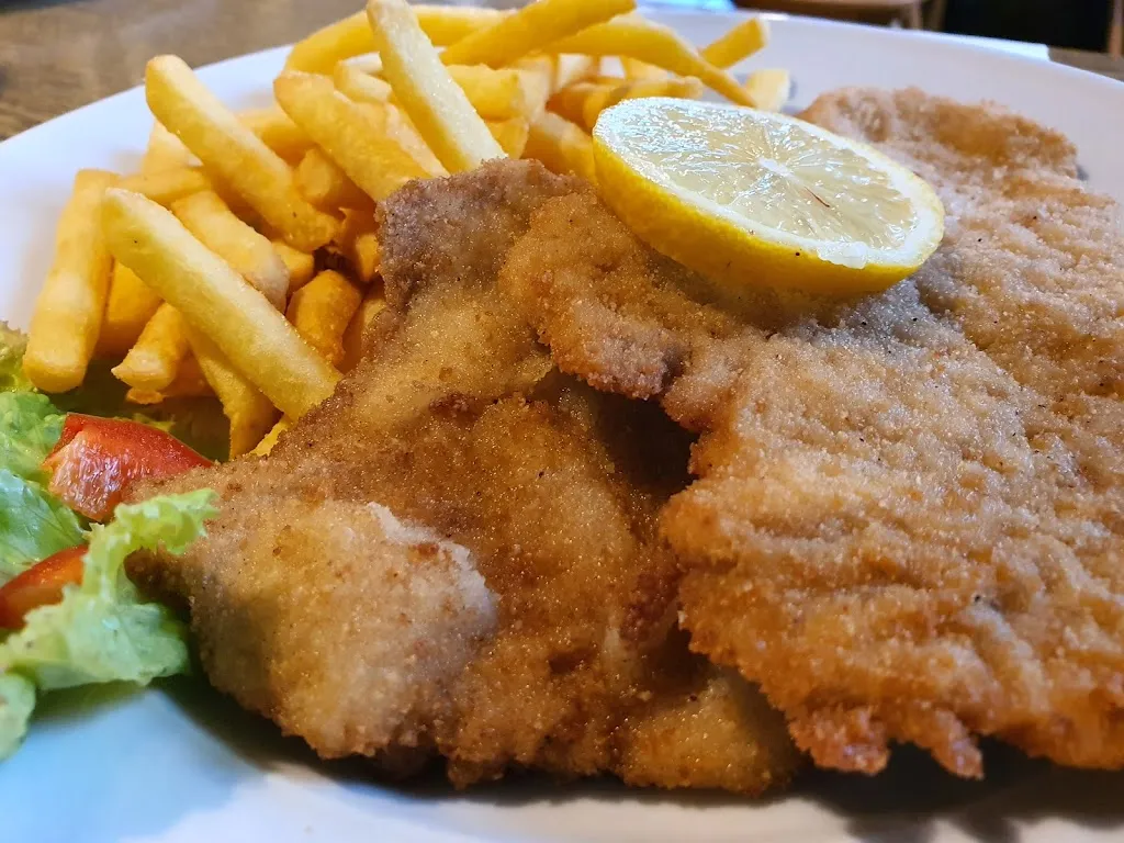 Menu_Gaststätte Birkenhof Helmbrechts - Wüstenselbitz_Helmbrechts_image_8