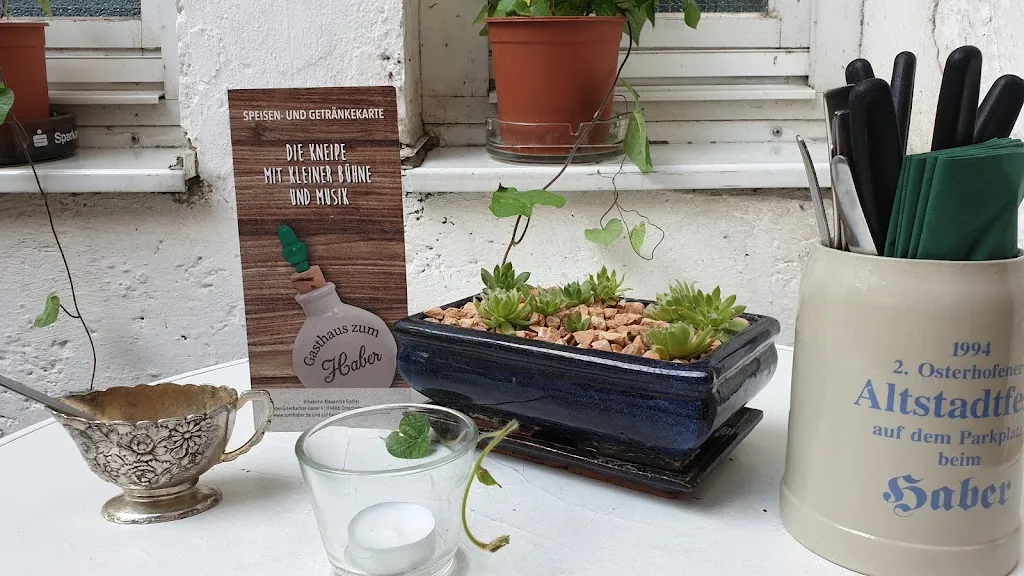 Menu_Gasthaus Zum Haber_Osterhofen_immagine_6