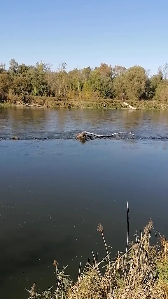 Wirtshaus Grafenmühle_Moos_slider_image_3