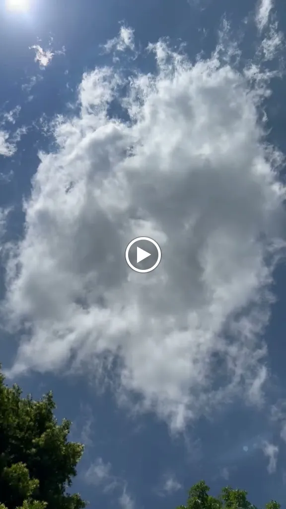 Restaurant ALAS_Moos_slider_image_2