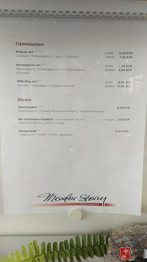 Menu_Restaurant Theodor Storm_Heiligenstadt_image_4