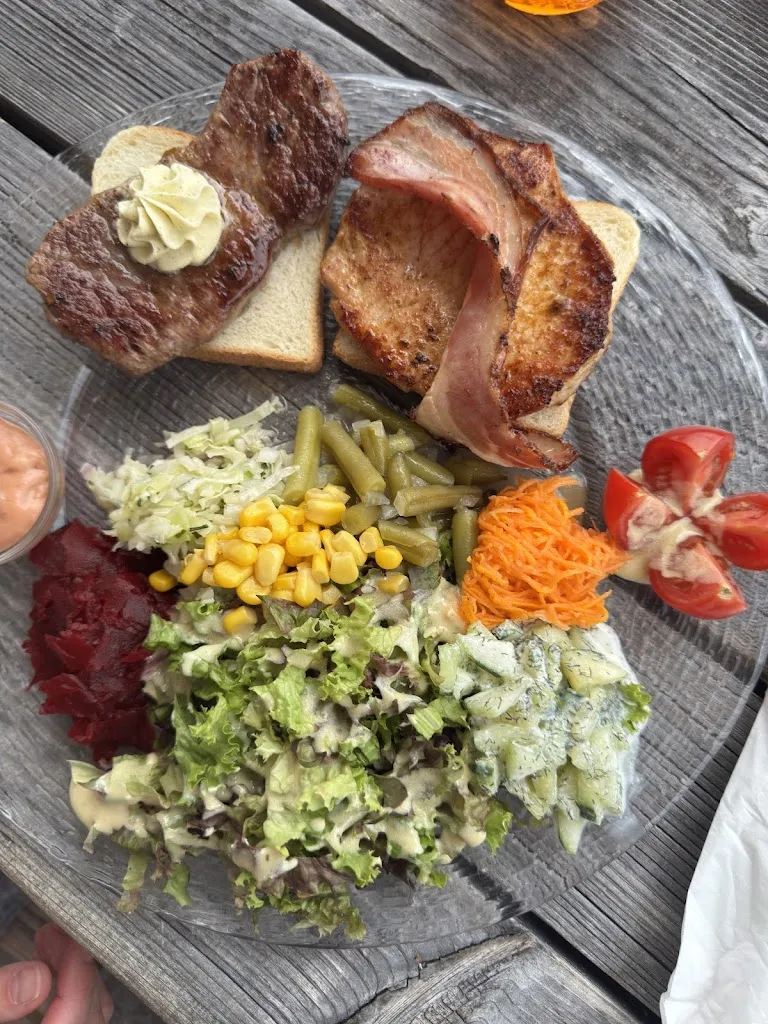 Hans Morsink_Alpengasthaus Jausenstation WECHNER_Austria_review