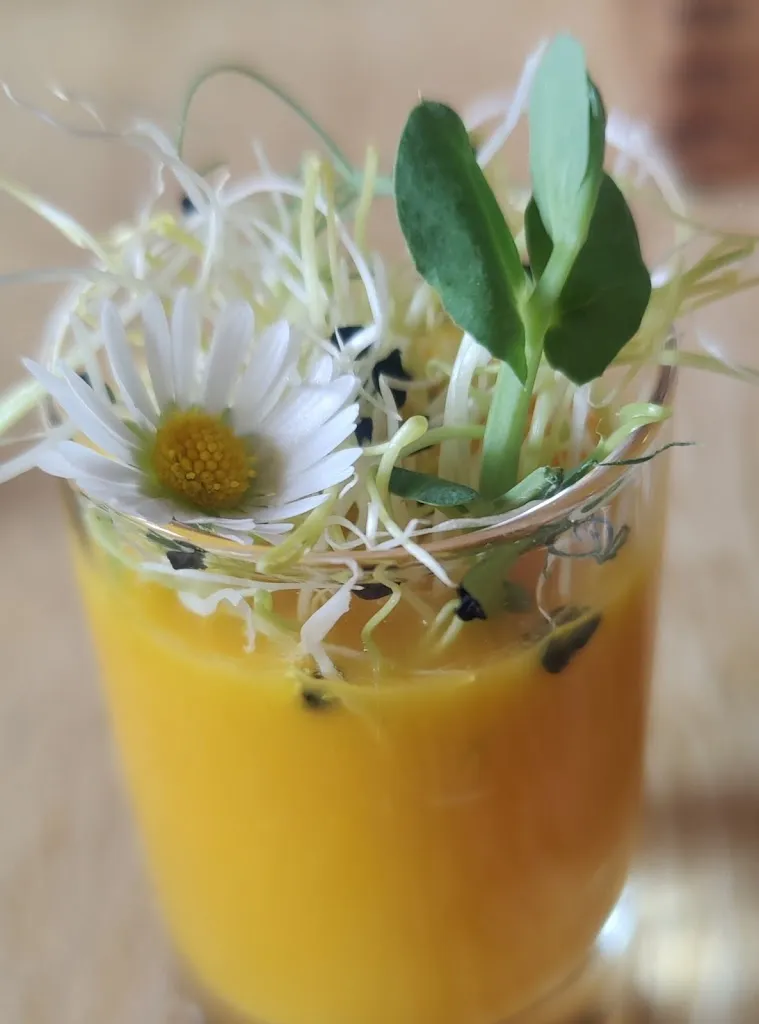 Elena Puigvert Ocal_Wirtschaft von Johann Gerner - Detlef Gerner_Heßdorf_review