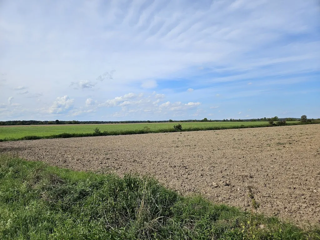 Oren Williams_Gasthaus Gumbrecht - Obermembach_Heßdorf_review