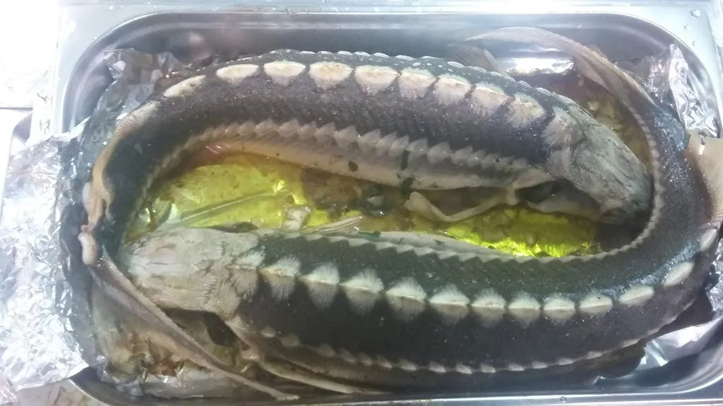 Menu_Restaurant Alessia_Adelsheim_image_7