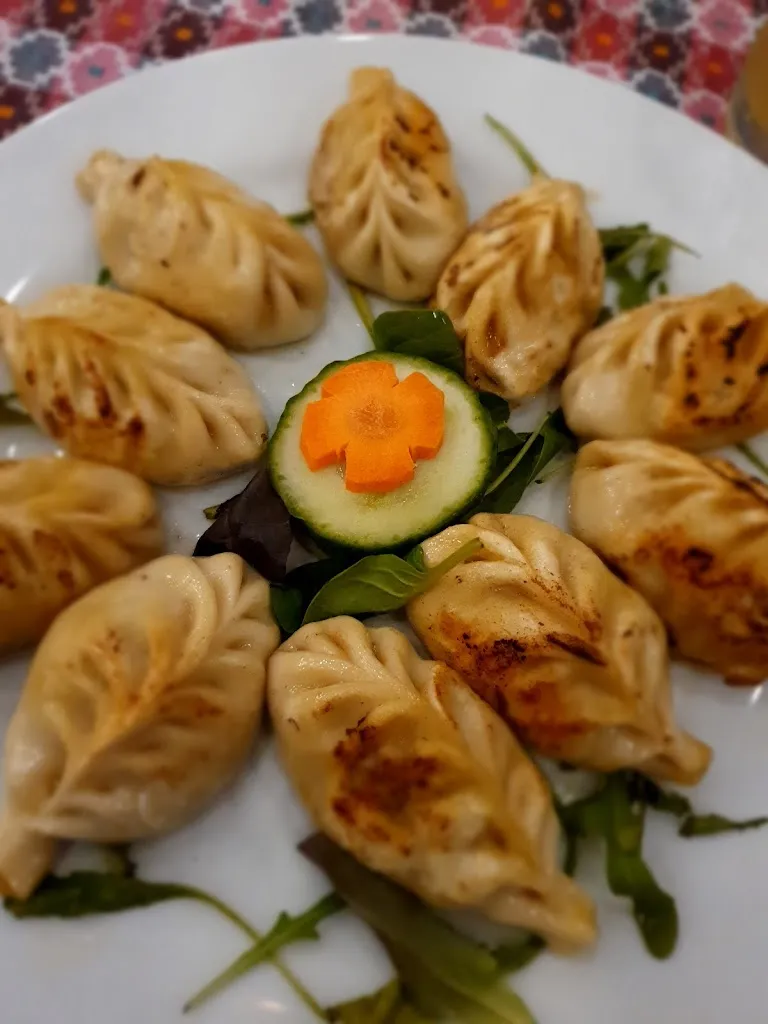 Menu_Food Mantra Nepali-Tibetan Cuisine Restaurant_Würzburg_immagine_5