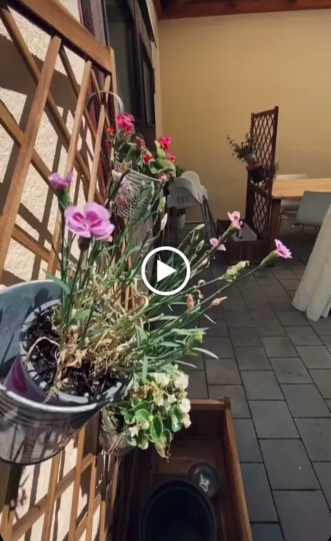 Hidden Kitchen_Nürnberg_slider_image_2