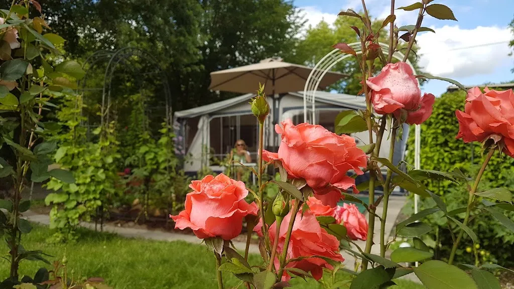 Landgasthof Burgblick und Campingplatz_Unterfranken_slider_image_3