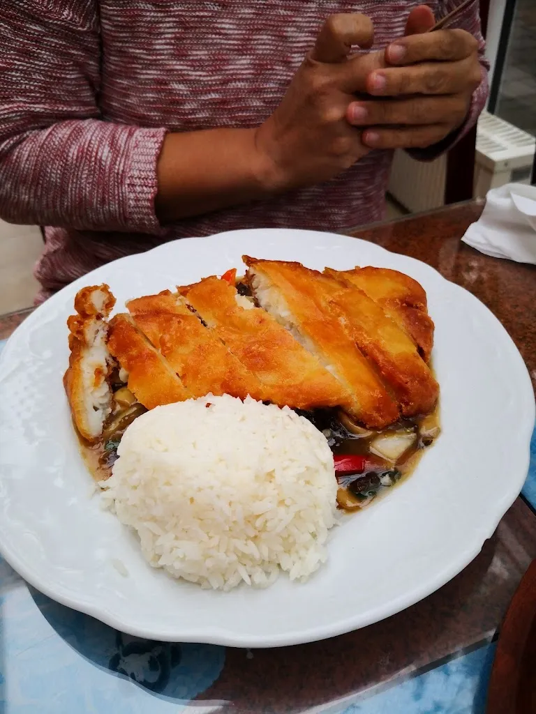 Menu_Asia Haus Goldener Tempel_Herzogenaurach_immagine_7