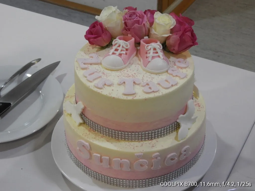 Menu_ASV Niederndorf Griechisches Restaurant_Herzogenaurach_image_4