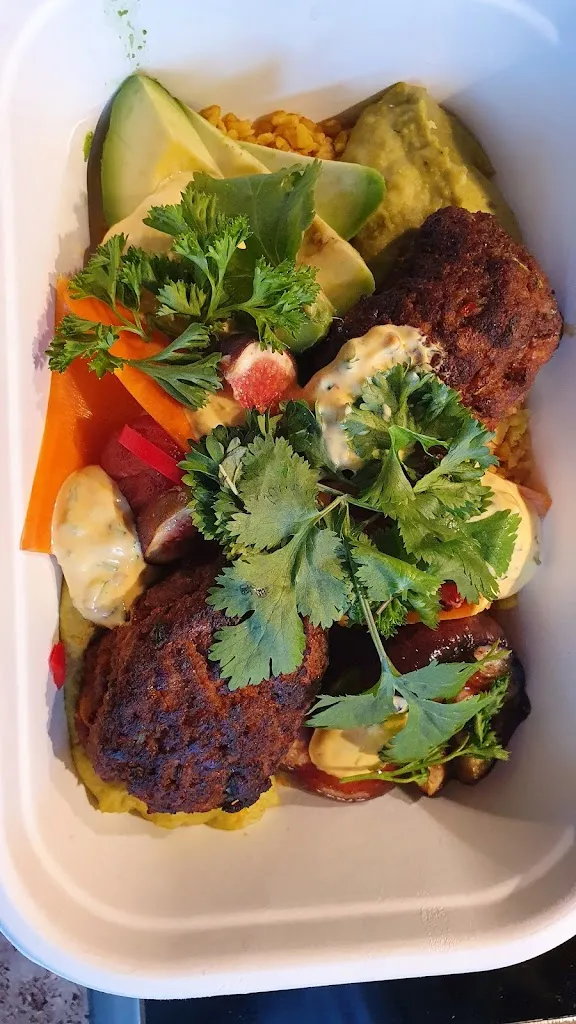 Apo Plexic_Alte Galerie_Hohenkammer_review