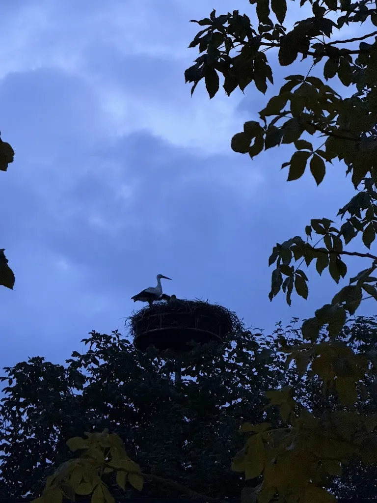 Juri Redecker_Biergarten am Schlosspark_Hohenkammer_review