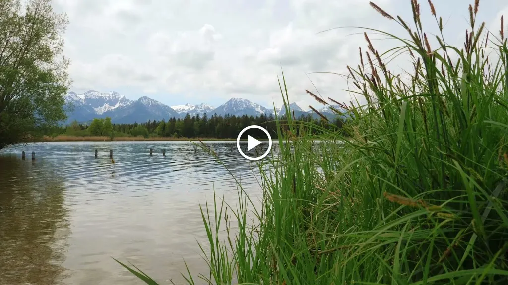 Tante Paula am Campingplatz Hopfen am See_Füssen_slider_image_2