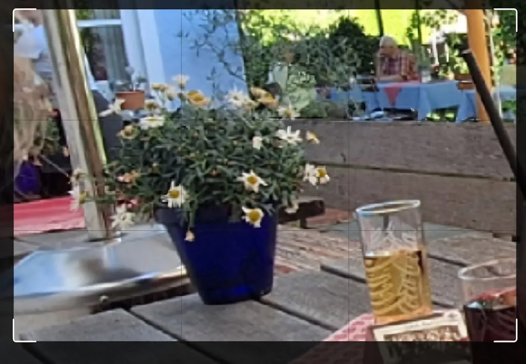 Kat Le_Cafe Vivarium - Brigitte Buchner_Höslwang_recensione