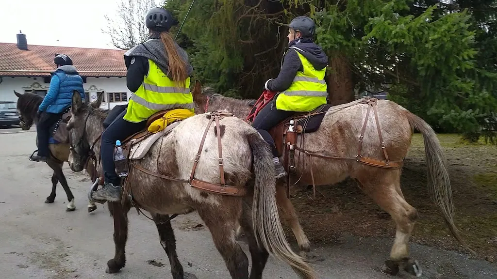 Restaurant Rigi Alm_Hohenpeißenberg_slider_image_2