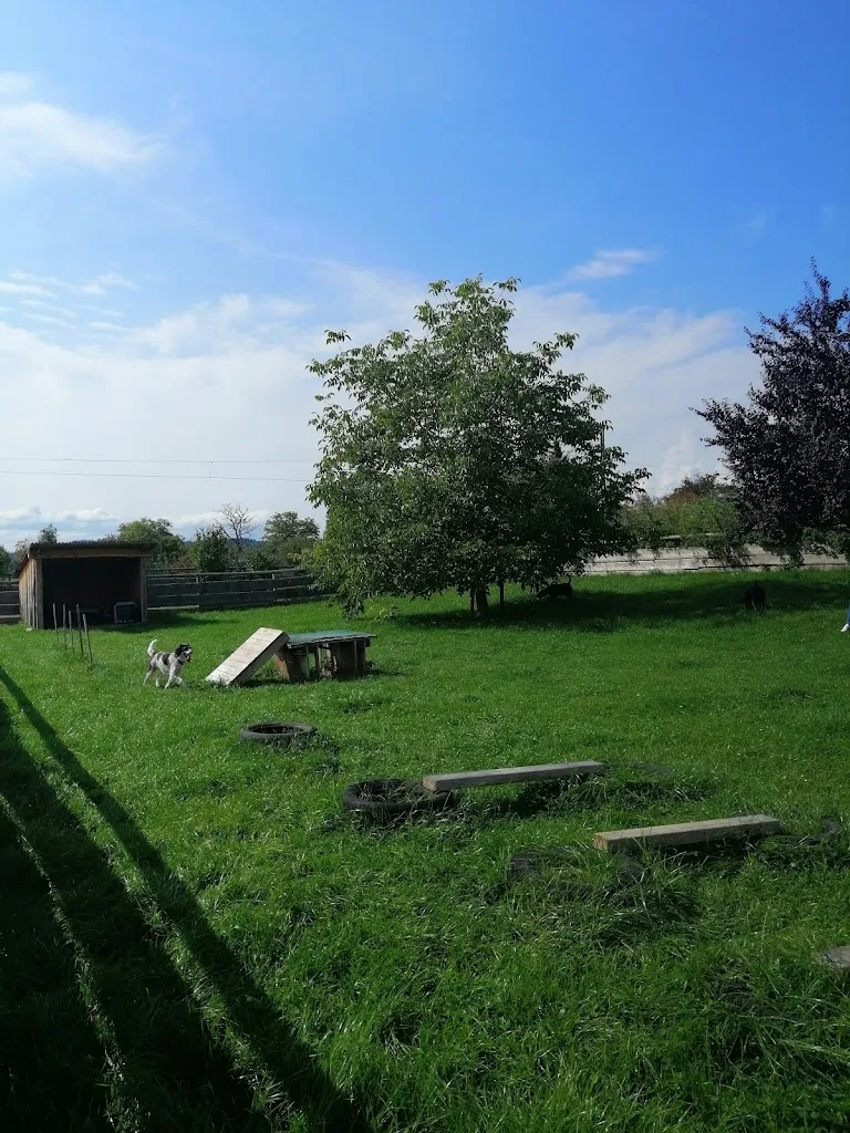 charlie just charlie_Gut Aiderbichl Iffeldorf_Iffeldorf_review